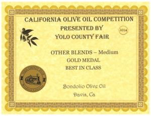 Yolo-Award-Gold